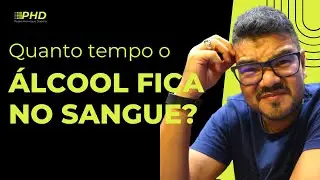 QUANTO TEMPO O ÁLCOOL FICA NO SANGUE?