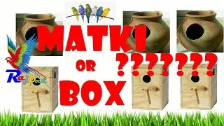Matki ya Box? Budgies k liye kya behtar hai...?