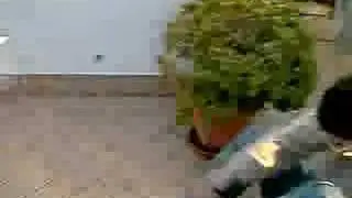Boscoreale scemos + scemos
