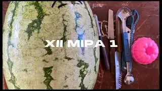tutorial pembuatan garnish buah semangka 🍉🍉 by. xii mipa