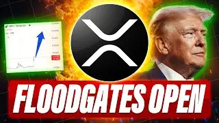 XRP HOLDERS THEY ARE TOKENIZING THE DEBT - NDAS REVEALED & FLOODGATES WILL OPEN