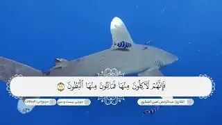 سورة الصافات ترتيل هادئ ومريح بصوت القارئ عبدالرحمن امين الجباري