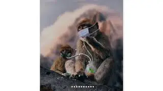 India fight against corona | whatsapp status
