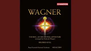 The Ring, An Orchestral Adventure: VIII. Siegfrieds Heldentat