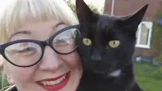The Cat Knows All