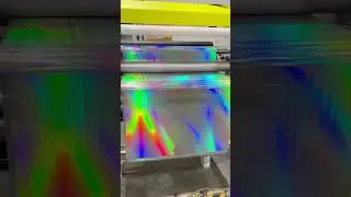 Prism Holographic Silver (SHLR) 🌈