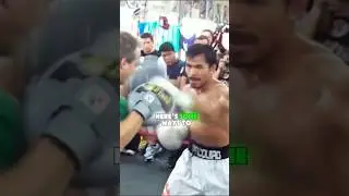 Улучшите свои рефлексы для бокса