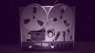 FLIPSILV3R-YR202
