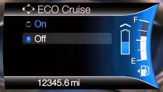 Fusion Hybrid Technology Information & Setting menu