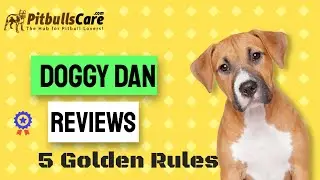 Doggy Dan reviews | Best Online Dog Training Course | Pitbullscare