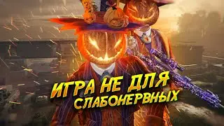 СучКА ТуТ Lost Light