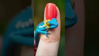 A colorful chameleon blending into a painted fingernail. #chameleon #changecolour