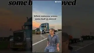 #trucker #trucking #truckdriving #18wheeler #equipment #cdl #work #bluecollar #big #driver