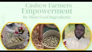 Documentary; Olam Cashew Farmers' Empowerment through Beekeeping.