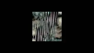 *free* type beat TVETH & BATO & SALUKI  - us mas [prod. by yawyanw] (C#m 140BPM)