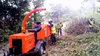 Rousdon Estate  -  Water Tower Logging  -  8 October 2016 (c+s)