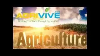 Buy Bulk Wheat for Export, Wheat Exporter, Wheat Exports, Wheat Exporting, Wheat Exporters