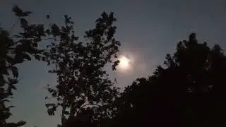 Beautiful moonshine in rural Jamaica 🇯🇲. 
