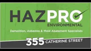 Fastest! Vermiculite Asbestos Removal - Others VS HAZPRO