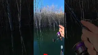 Прекрасное место для ловли крупной щуки - Рыбарское видео #рыбалка