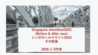 シンガポールマラソン2025 前後の様子