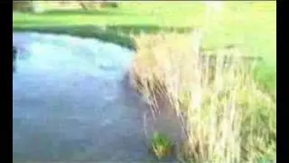 Charminster Flooding (6.3.2007)
