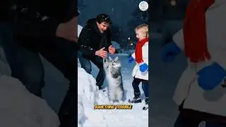 &ldquo;The Stray Cat Who Saved a Child in the Snow&hellip; ❄️🐱❤️&rdquo;