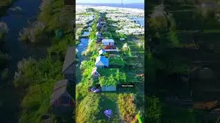প্রাকৃতিক সৌন্দর্য কাঁশ ফুল বাগান। #budgetfriendly #drone