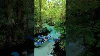 Paddling through paradise! 😍🌴☀️ #florida #wildlife #conservation