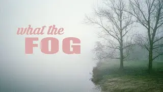SHOOTING FILM IN THE FOG | Bronica ETRSi + Yashica T4 (expired film)