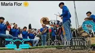 Banda de Viento Alma Ranchera 