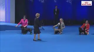 Кубок президента РКФ 2018 (Породы, не признанные FCI)