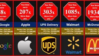 Company Pay Comparison YOU vs your Boss | Data Comparisons