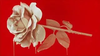 Indigo & the Sirens - Out Of The Blue