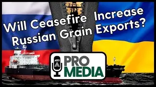 Will Ceasefire Increase Russian Grain Exports?