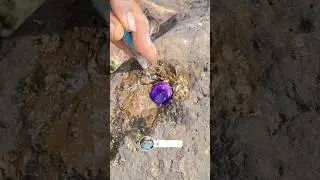 Bay Diamond Hunter Finds Purple Quartz Agate 💎 Rare Gemstone Discovery!