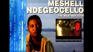 Me'shell Ndegeocello Live @ Cenon Le Rocher De Palmer 30.05.2012 - Shoot'n Up And Gett'n High 3/15