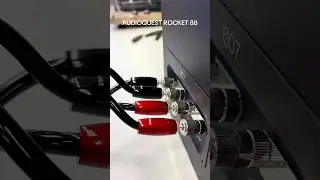 AudioQuest Rocket 88