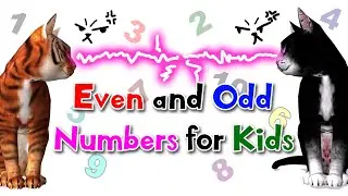 Even and Odd Numbers for Kids | 1st-2nd Grade | Noodle Kidz
