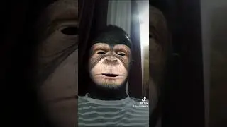 muri puberi ntago ari kakajwi