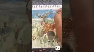 The Dancing Deer of Manipur &mdash; where wildlife walks on floating land. 🦌✨