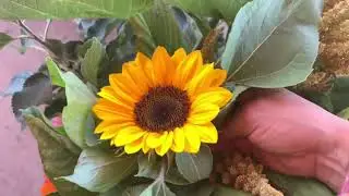 Harvesting for flower arrangements