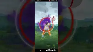 Dia de Raids do Raikou sombroso no Pokemon Go 