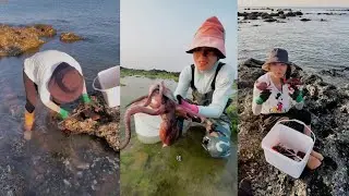 Ловля крабов на мелководье #ловля #рыбалка #краб #охота