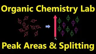 Spin-Spin Splitting (¹HNMR) | Organic Chemistry Lab Techniques