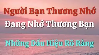 Người Bạn Thương Nhớ Đang Nhớ Thương Bạn - Những Dấu Hiệu Rõ Ràng