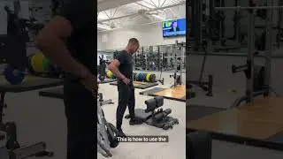 Nordic Hamstring Curl & Sissy Squat Platform