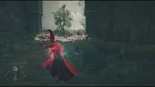 50 min Mage Invasions ELDEN RING