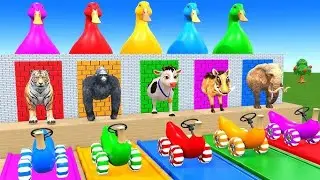 Long Slide Game videos #longslidegame #cartoon #cat #cow #elephant #tiger #animals #cute #youtube 