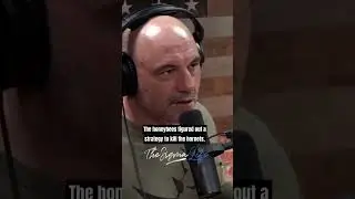 Japanese Hornets vs. Honey Bees - Joe Rogan